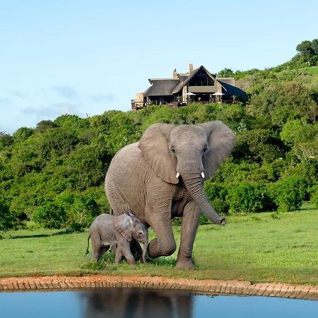 Hopewell Private Game Reserve Buyskloof Exterior photo