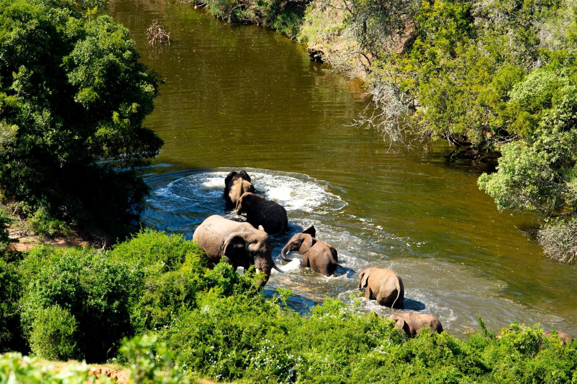 Hopewell Private Game Reserve Buyskloof Exterior photo
